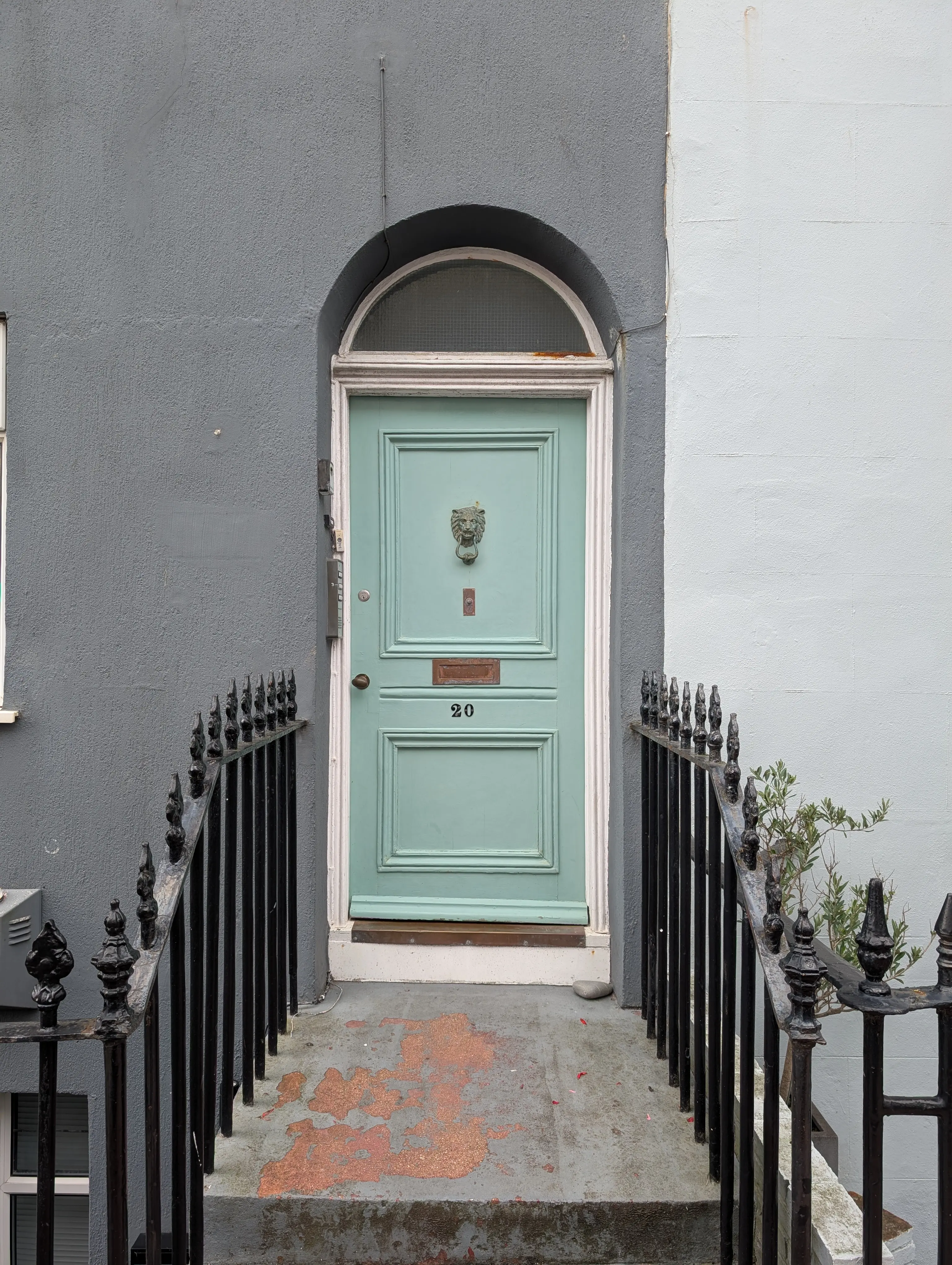 green door on gray wall with ornate lion knocker